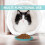 OUNONA flat cat food bowl plastic 4 pcs 4