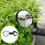 2Pcs Rotatable Adjustable Motorcycle Rearview Mirrors 4
