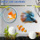 Floating Betta Exercise Round Rings Nitrobacteria Toy FishTank Antidepressant 2