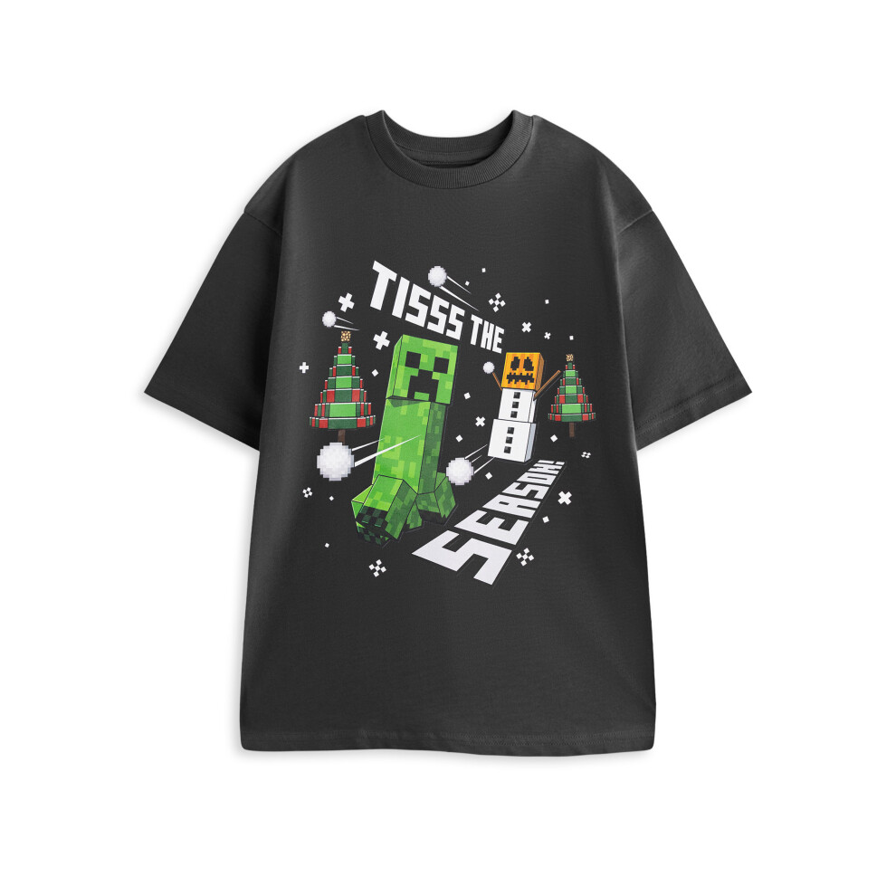 Minecraft (Small) Short Sleeved T-Shirt (Mens Grey)