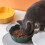 Ceramic Pet Bowl Flower Design Anti-Spill White 4