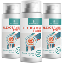 Flexosamine Forte - 300 ml (3x100ml), Opakowanie 3 szt.