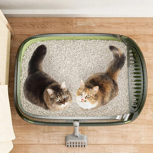 Caixa de areia para gatos semiaberta com bandeja (1 unidade) 2