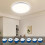 LED Ceiling Light Panel Dimmable Modern Remote Control White 42 cm — bathroom light fixture, flush mount lamp 2