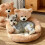 Teddy Bear Dog Bed Brown Medium with Removable Cover 6