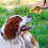 Pet Training Revolution, Κλίκερ Εκπαίδευσης για Βελτιωμένη Επικοινωνία, Κλίκερ 4