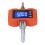 Hanging Scale Remote Control Digital Display 1000KG Range Weighing Tool for Warehouse 4