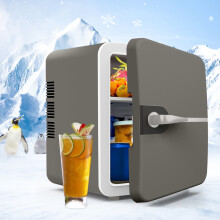 6L Portable Cooler Warmer 12V/220V Mini Fridge Freezer