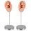 Silicone Ear Mannequin for Piercing Training Left and Right 1