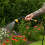 Vivo 9 Function Telescopic Spray Lance Sprinkler Long Reach Spray Gun Tilting Head 4