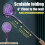 Automatic Mosquito Swatter, Telescopic, Rotatable Mesh For Wider Coverage, USB Charging, Fast, Long Standby Time 2