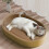 Oval Cat Scratcher Bed Cardboard 1 piece 1