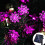 Morttic Solar Lotus String Lights 23ft 50LED Pink 1