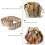 Parrot Ladder Swing Toy Wooden 1 Pack 2