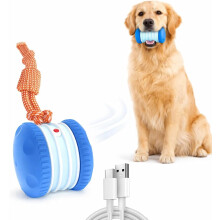 Smart Motion Pet Ball for Dogs Small to Large