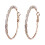 Rhinestone Hoop Earrings Gold Silver 2 pcs 1