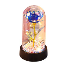 Eternal Rose in Glass Dome with LED Lights Preserved Flower