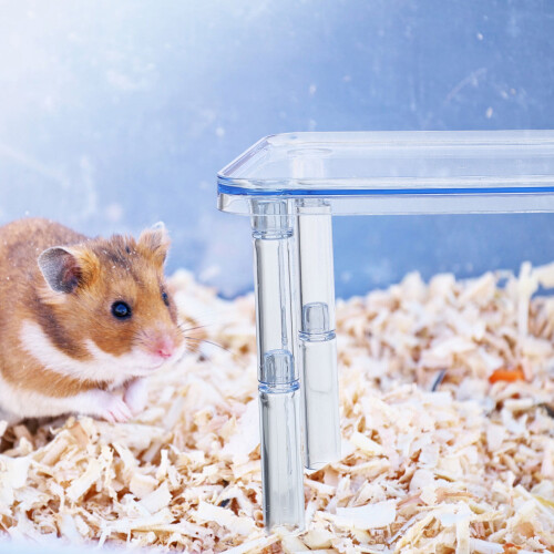 Hamster Platform Blue Material 1 Pack 2