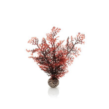 Biorb Sea Fan Crimson Small