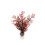 Biorb Biorb Sea Fan Crimson Small 1
