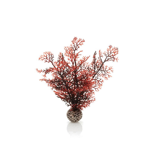Biorb Biorb Sea Fan Crimson Small