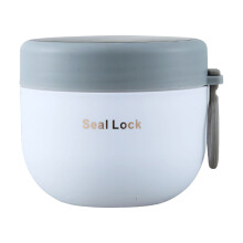 Insulated Stainless Steel Lunch Box 20 oz with Spoon