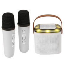 Portable Karaoke Machine Wireless Bluetooth with 2 Mics