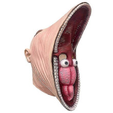 (B) Adam Barbara Full Face Headgear Latex Scary Mask Cosplay Prop Halloween Mask Carnival Masquerade Party Dress Up Fright Props