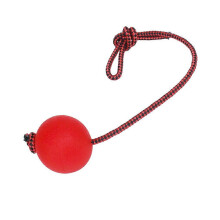 Pet Soild Rubber Rope Ball Animal Training Chewing Toy Pet Indoor Outdoor Fetch Toy, Middle