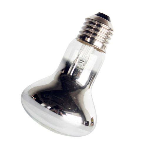 Reptile Basking Spot Bulb 40W 60W for Lizards Turtles