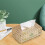 Tissue Box Decorative Accessories Napkin Holder for Desktop Car Decoration 4