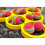 Ensemble de jeu de fête pour piscines interactives, équipement 5