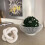 Wooden Knot Coffee Table Decor White 3-Link Chain 6