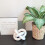Wooden Knot Coffee Table Decor White 3-Link Chain 5