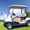 Golf Cart Seat Cover Microfiber 2 Seats Cherry 6