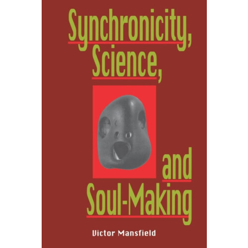 Synchronicity Science and Soulmaking Understanding Jungian Syncronicit