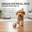 Smart Motion Pet Ball for Dogs Small to Large 6