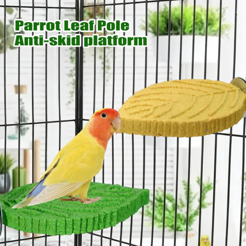 Parrot Leaf Standing Perch with Suction Cup and Grinding 2