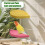Parrot Leaf Standing Perch with Suction Cup and Grinding 5