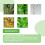 Herbal Foot Patch for Swelling Relief - Deep Cleansing & Relaxing Pads for Better Sleep 2