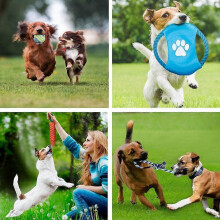 Dww-10 pieces puppy chew toy teething training, rope dog toy natural cotton rope for small to medium-sized dogs.
