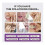 (3pcs) 1-3X Nature Tooth Refresh Toothpaste, Hydroxyapatite Toothpaste for Sensitive Teeth 1