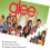 Glee Fox Jigsaw Puzzle 300 Pieces Art Toy 4