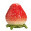 Strawberry Tea Pot Ceramic Sealed Storage Pot 2