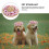 Hat Dog Spring Summer Sunhat with Flower Decoration for Pets Size S 1