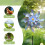 Reflective Windmill Spinner Bird Deterrent 6-Pack 4