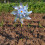 Reflective Windmill Spinner Bird Deterrent 6-Pack 5