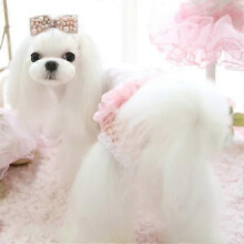 (S, pink) Pet Menstrual Pants Washable Reusable Female Dog Diaper Breathable Pet Physiological Pants Pet Supplies