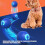 (Orange) Rechargeable Interactively Rolling Balls For Pet That Automatically Moving And Changes Direction For Fun Exercise  Orange 1