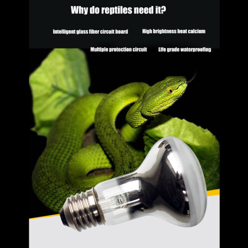 Reptile Basking Spot Bulb 40W 60W for Lizards Turtles 2